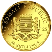 Somalia Leopard 0,5 Gramm Gold 2025 PP 2