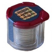 Philharmoniker 1/25 oz Platin 2024 3