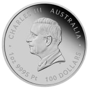 Lunar III - Pferd 1 oz Platin 2026 Proof 2