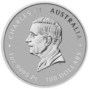 Lunar III -  Pferd 1 oz Platin 2026 2