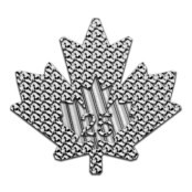 Maple Leaf 1 oz Platin 2025 3