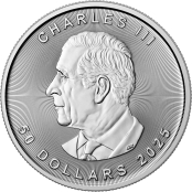 Maple Leaf 1 oz Platin 2025 2