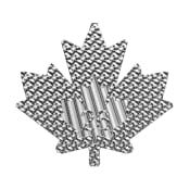 Maple Leaf 1 oz Silber 2026 3