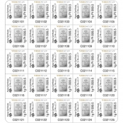 Multigram+25 Platin PAMP Suisse 2