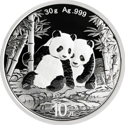 Panda 30 g Silber 2026