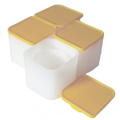 Münztube Britannia Gold